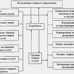 Коммерческая Деятельность Рынке Недвижимости